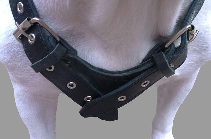 6 lbs Genuine Leather Weighted Pulling Dog Harness for Exercise and Training 28"-35" Chest, Black