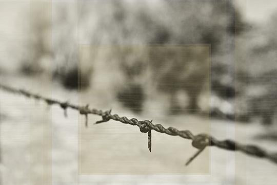 Barbed IV