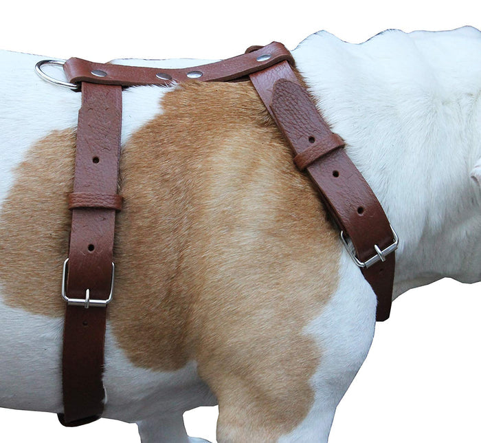 Brown Genuine Tooled Leather Dog Harness Large. 27"-37" Chest, 1.25" Wide Straps Pitbull, Boxer