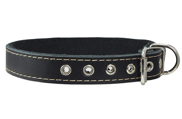 Genuine Leather Dog Collar, Cotton Padded, 1" Wide.