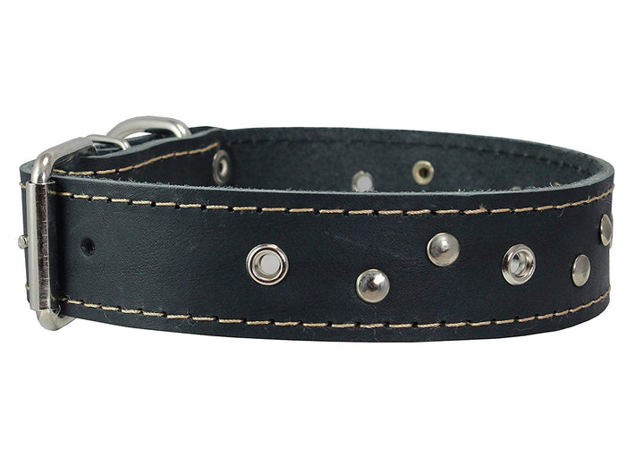 Genuine Leather Dog Collar Studded 1.5" Wide, 16.5"-20" Neck