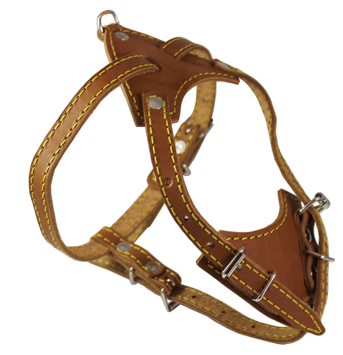 Genuine Leather Dog Harness, 16.5"-20" Chest size, 1/2" Wide, Boston Terrier