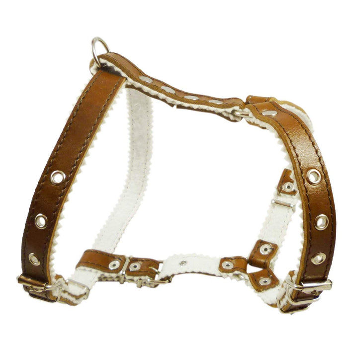 Genuine Leather Dog Harness Padded, Fits 17" - 21" Chest, Poodle, Boston Terrier