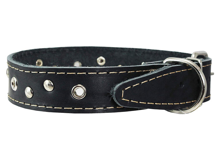Genuine Leather Studded Dog Collar, 1.25" Wide. Fits 16"-19" Neck