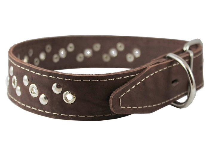 Genuine Leather Studded Dog Collar 22"x1" Brown Fits 15"-19.5" Neck