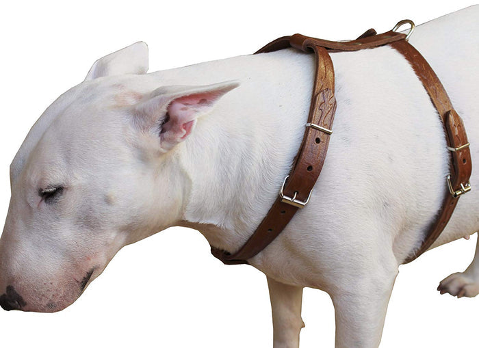 Genuine Tooled Leather Dog Harness Medium. 22"-30" Chest, 3/4" Wide Straps, Boston Terrier