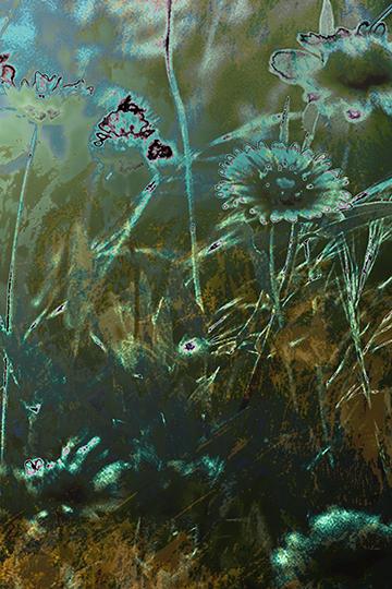 Into The Garden Deep III