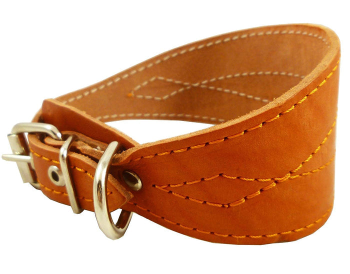 Orange Real Leather Tapered Extra Wide Greyhound Dog Collar 2.75" Wide Fits 12"-16" Neck Medium