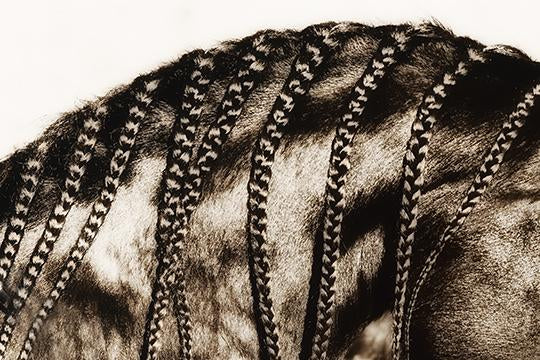 Plaiting2