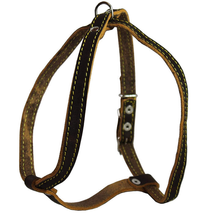 Real Leather Dog Harness, 12"-16" Chest size, 1/2" Wide, Yorkshire Terrier, Pomeranian