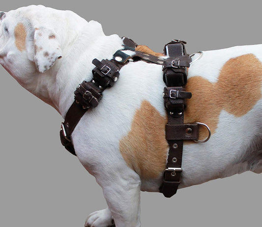 10 Lbs Brown Genuine Leather Weighted Pulling Dog Harness Exercise and Training Fits 35"-44" Chest