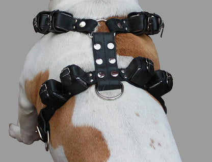 6 lbs Genuine Leather Weighted Pulling Dog Harness for Exercise and Training  28"-35" Chest, Black