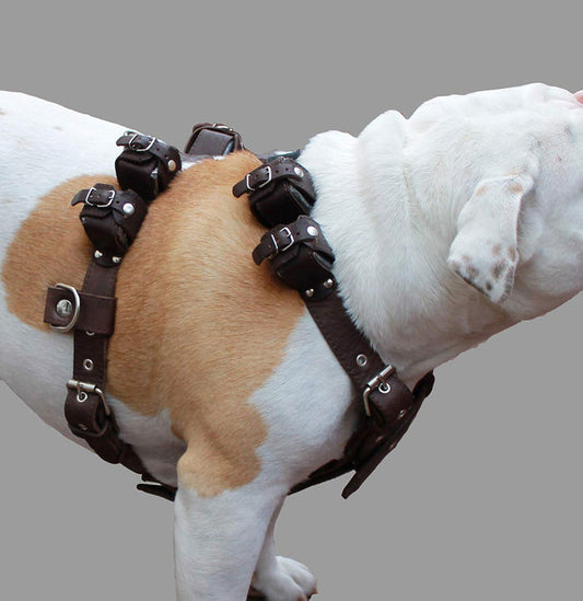 8 lbs Brown Genuine Leather Weighted Pulling Dog Harness for Exercise and Training 33"-39" Chest