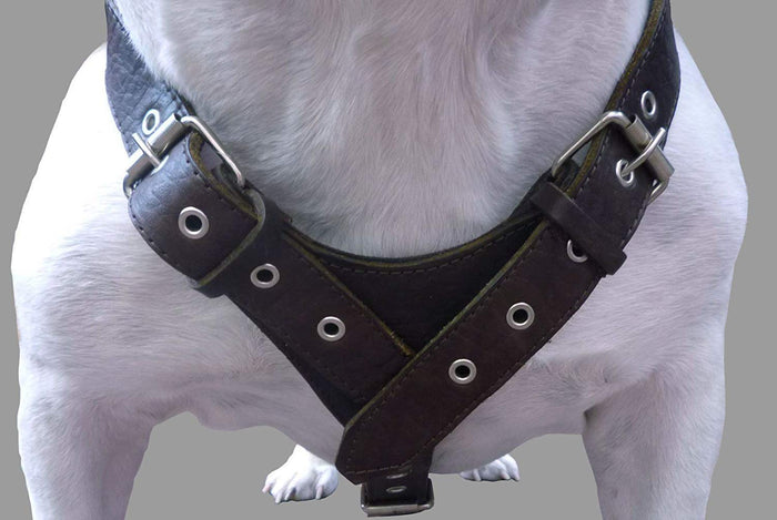 8 lbs Brown Genuine Leather Weighted Pulling Dog Harness for Exercise and Training 33"-39" Chest