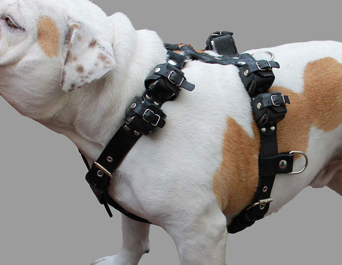 8lbs Black Genuine Leather Weighted Pulling Dog Harness for Exercise and Training  33"-39" Chest