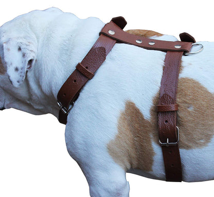 Brown Genuine Tooled Leather Dog Harness Large. 27"-37" Chest, 1.25" Wide Straps Pitbull, Boxer