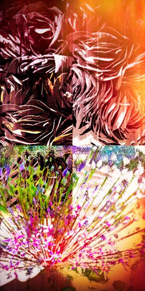 Candy Paint II