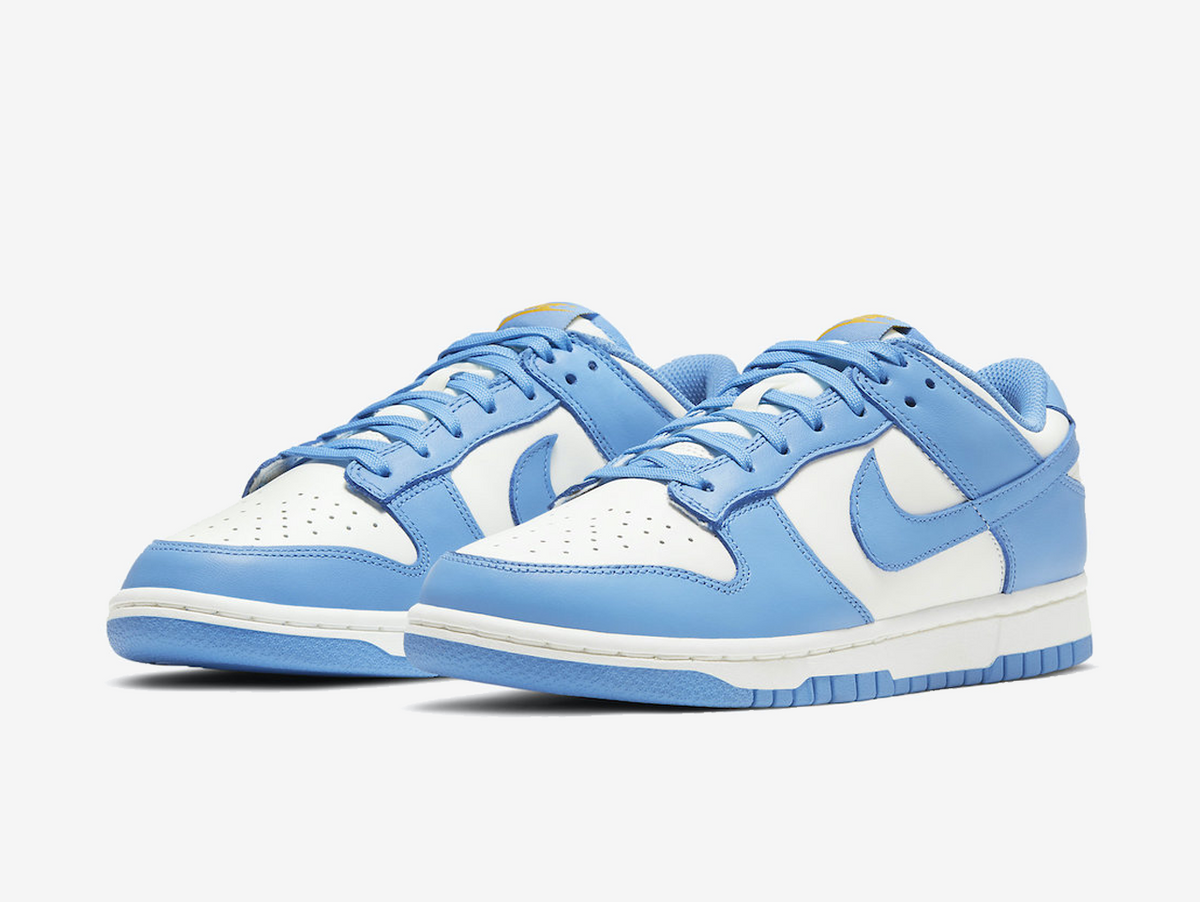 Nike Dunk Low Coast (W)