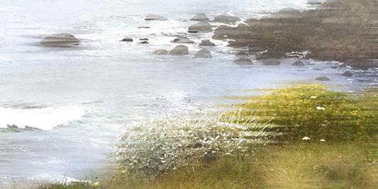 Coastal Waves