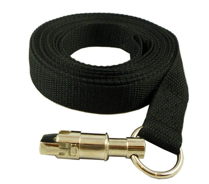 Dog Leash 1" Wide Nylon 6 Feet Long for Training Secure Locking Snap