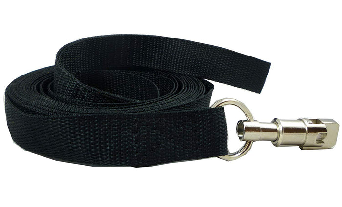 Dog Leash 1" Wide Nylon 6 Feet Long for Training Secure Locking Snap