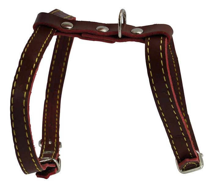 Dogs My Love Real Leather Feline Harness, 12"-15" Chest size, 3/8" Wide, Small to Medium Cats