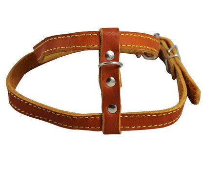 Dogs My Love Real Leather Feline Harness, 12"-15" Chest size, 3/8" Wide, Small to Medium Cats