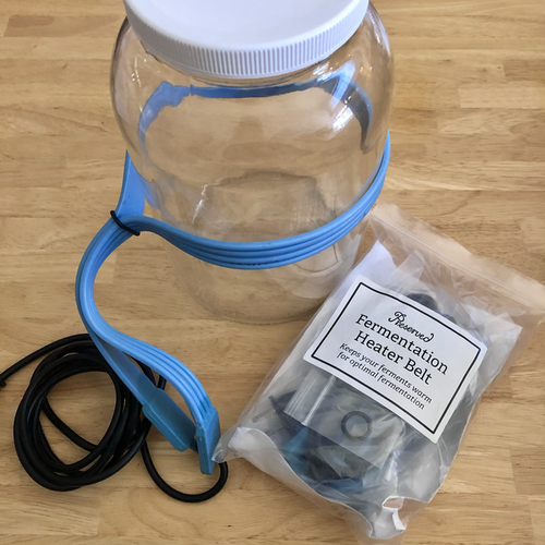 Fermentation Brew Belt - Preserved Oakland