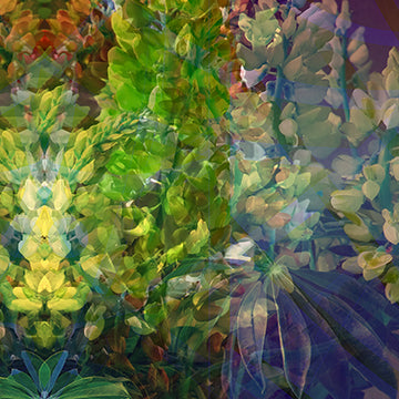 Garden Poem II