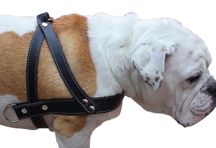 Genuine Black Leather Dog Pulling Walking Harness Large. 31"-35" Chest, 1.5" Wide Straps