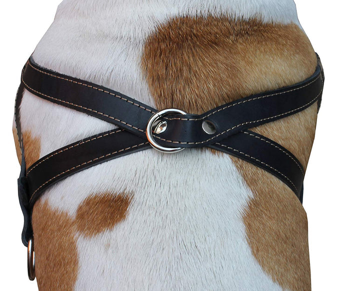 Genuine Black Leather Dog Pulling Walking Harness Large. 31"-35" Chest, 1.5" Wide Straps
