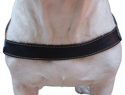 Genuine Black Leather Dog Pulling Walking Harness Large. 31"-35" Chest, 1.5" Wide Straps