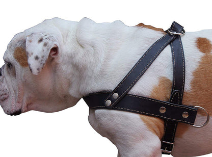 Genuine Black Leather Dog Pulling Walking Harness Large. 31"-35" Chest, 1.5" Wide Straps