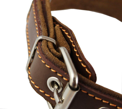 Genuine Leather Braided Studded Dog Collar, Brown 1.25" Wide. Fits 16"-20.5" Neck.