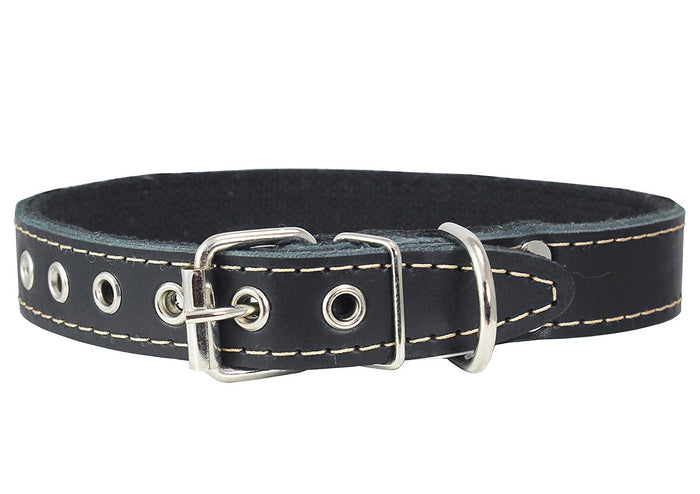 Genuine Leather Dog Collar, Cotton Padded, 1" Wide.