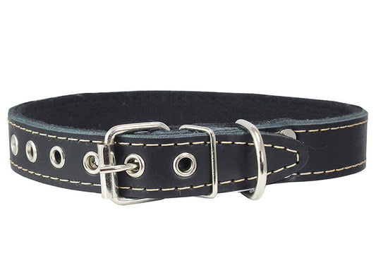 Genuine Leather Dog Collar, Cotton Padded, 1" Wide.