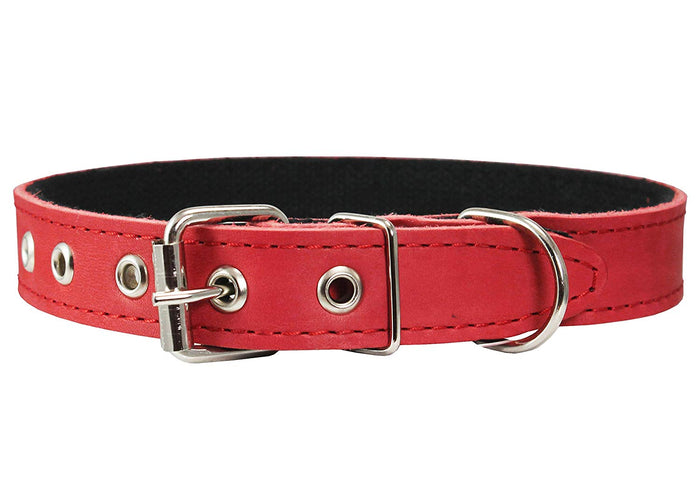 Genuine Leather Dog Collar, Cotton Padded, 1" Wide.