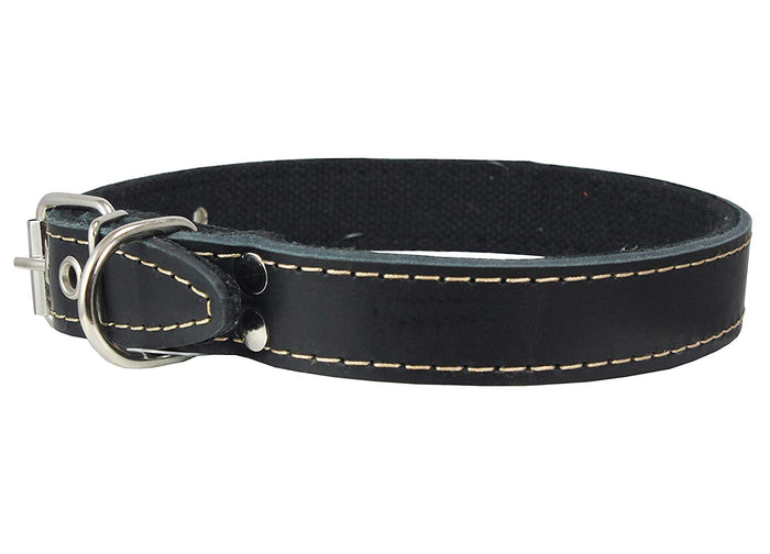 Genuine Leather Dog Collar, Cotton Padded, 1" Wide.