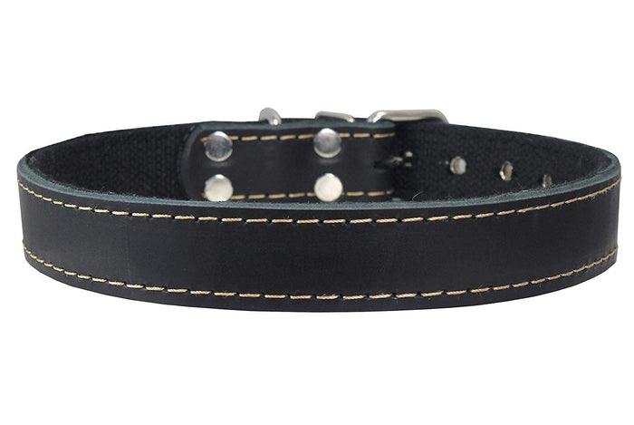 Genuine Leather Dog Collar, Cotton Padded, 1" Wide.