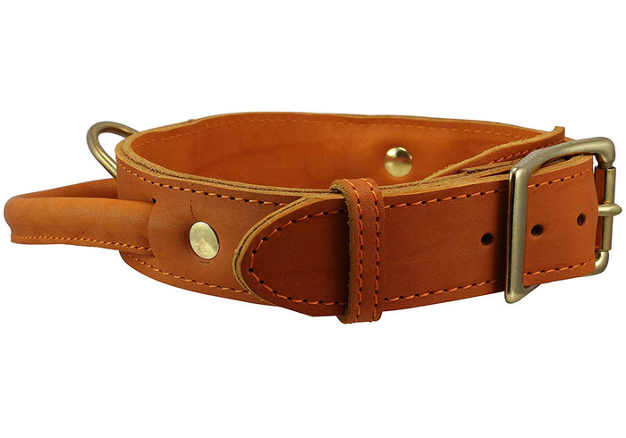 Genuine Leather Dog Collar, Rolled Leather Handle Tan