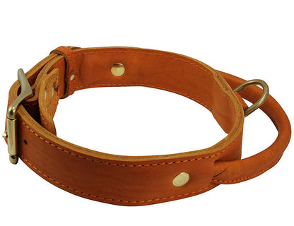 Genuine Leather Dog Collar, Rolled Leather Handle Tan