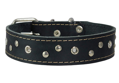 Genuine Leather Dog Collar Studded 1.5" Wide, 16.5"-20" Neck