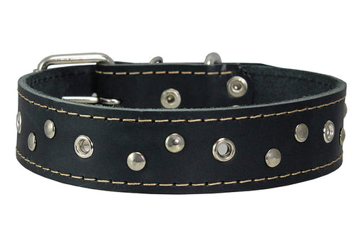 Genuine Leather Dog Collar Studded 1.5" Wide, 16.5"-20" Neck