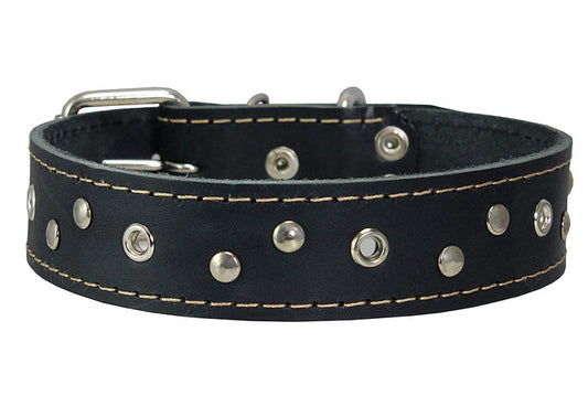 Genuine Leather Dog Collar Studded 1.5" Wide, 16.5"-20" Neck