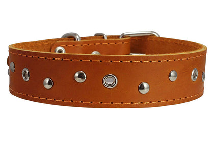 Genuine Leather Dog Collar Studded 1.5" Wide, 16.5"-20" Neck