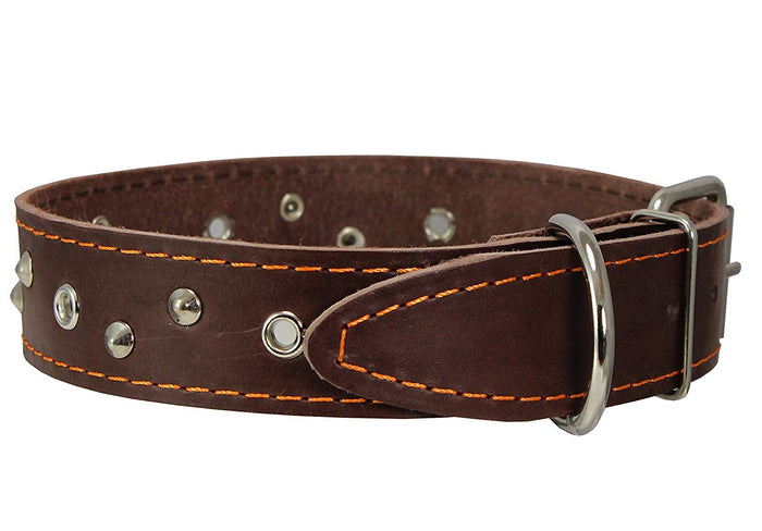 Genuine Leather Dog Collar Studded 1.5" Wide, 16.5"-20" Neck