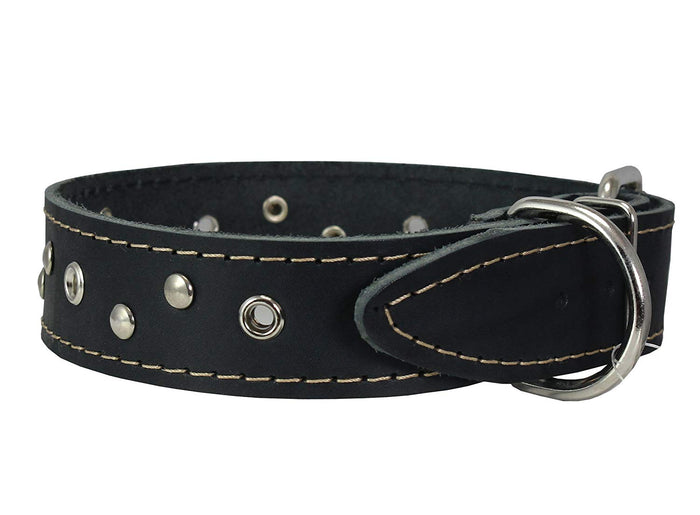 Genuine Leather Dog Collar Studded 1.5" Wide, 16.5"-20" Neck