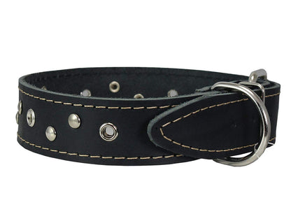 Genuine Leather Dog Collar Studded 1.5" Wide, 16.5"-20" Neck