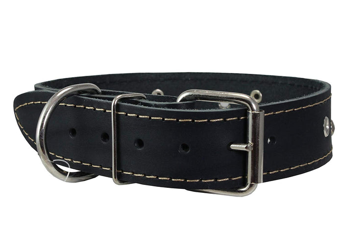 Genuine Leather Dog Collar Studded 1.5" Wide, 16.5"-20" Neck