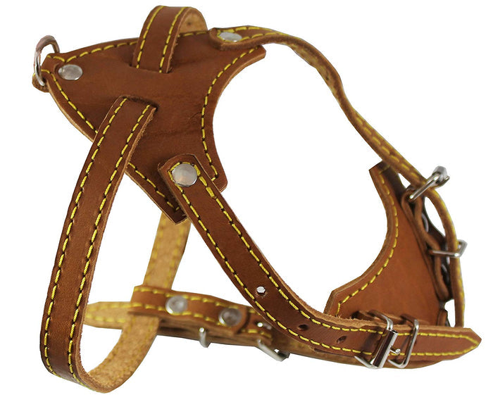 Genuine Leather Dog Harness, 16.5"-20" Chest size, 1/2" Wide, Boston Terrier